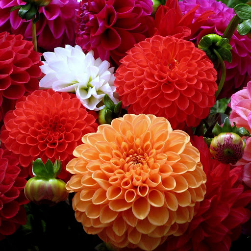 Hd-149224-ascw149224