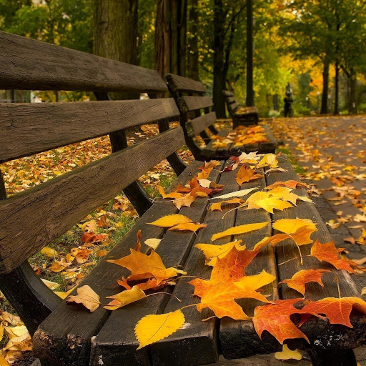 Hd-182677-ascw182677