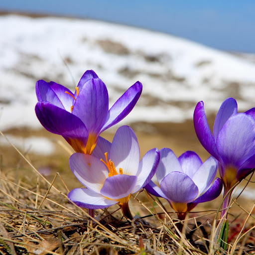 Hd-151456-ascw151456