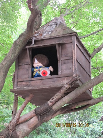 [20110919%253C*%25C3%258E6K--003%255B3%255D.jpg]