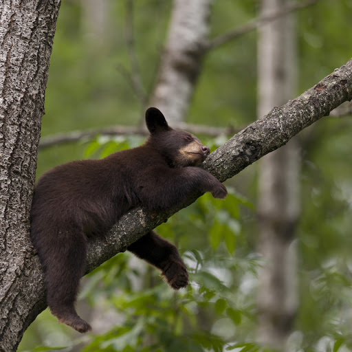 Hd-160974-ascw160974