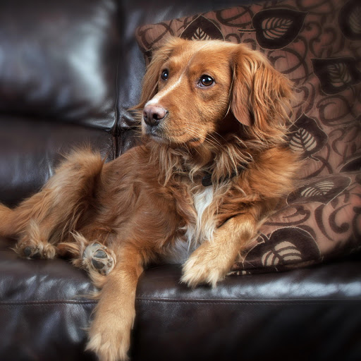 Hd-159252-ascw159252