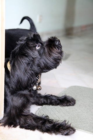 [IMG_0114%255B4%255D.jpg]