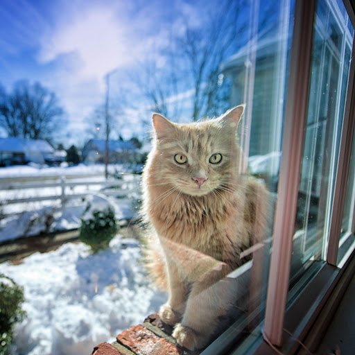 Hd-142010-ascw142010