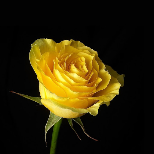 Hd-176360-ascw176360