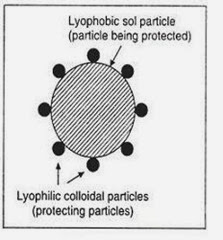 Lyophillic colloid particles
