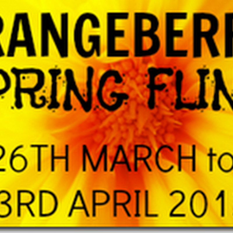 Orangeberry Spring Fling – The Celtic Dagger (Fitzjohn Mystery Series)