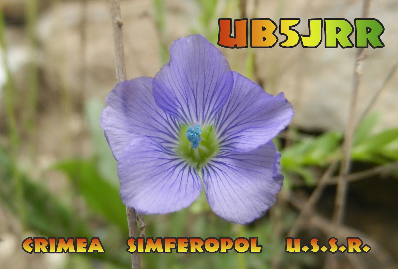 http://www.3w3rr.ru/2012/09/UB5JRR.html