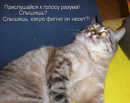 [kotomatrix_08%255B3%255D.jpg]