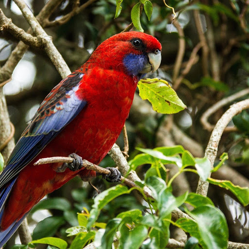 Hd-132989-ascw132989