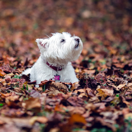 Hd-145564-ascw145564