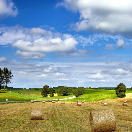 Hd-141961-ascw141961