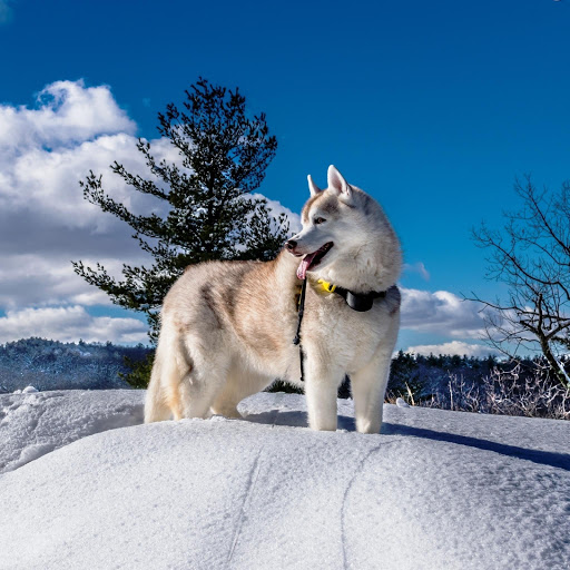 Hd-147448-ascw147448