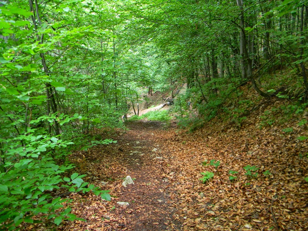 [DSCN06573.jpg]