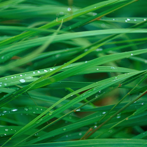 Hd-173254-ascw173254