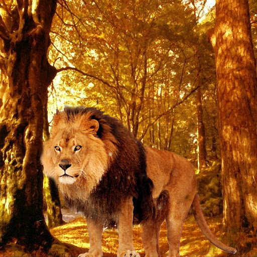 Hd-134110-ascw134110