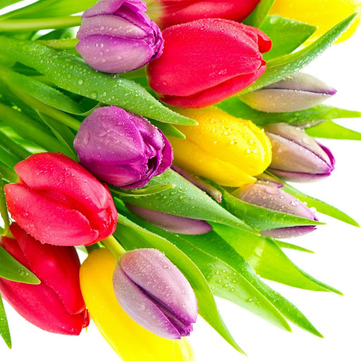 Hd-148294-ascw148294