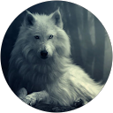 Image Google de Ozy Mandias