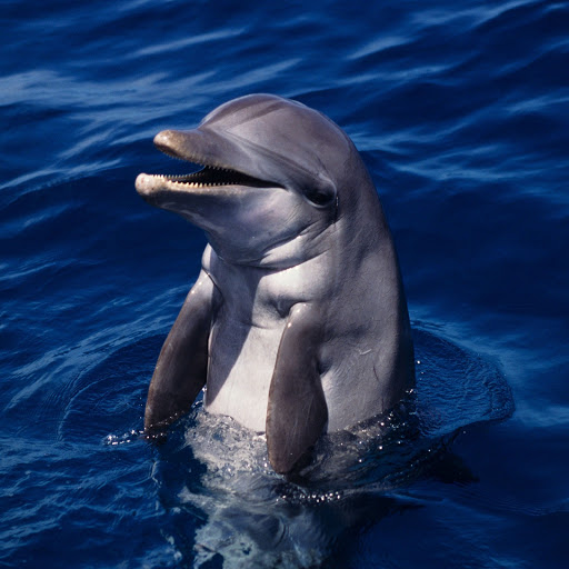 Hd-173107-ascw173107