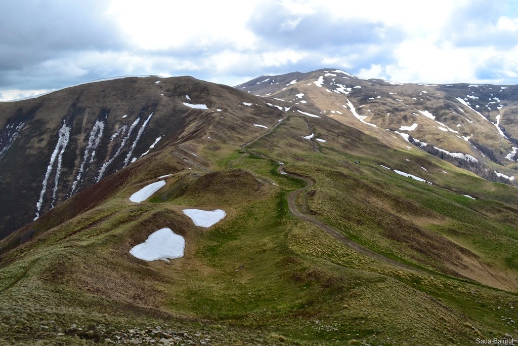 [DSC_975710.jpg]
