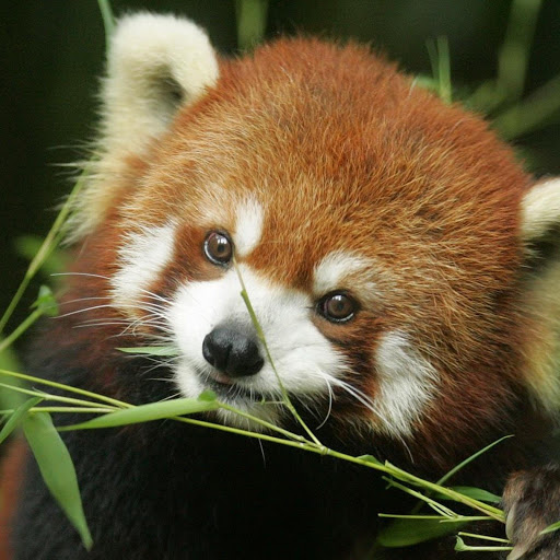 Hd-156959-ascw156959