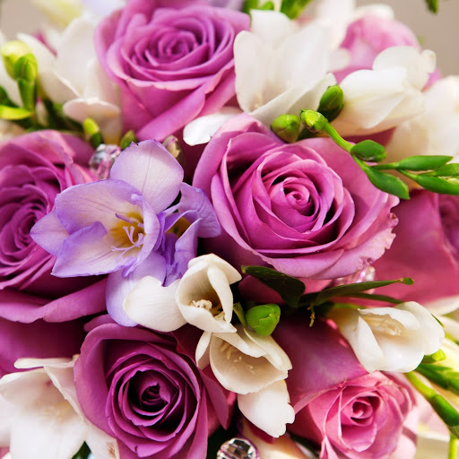 Hd-146344-ascw146344