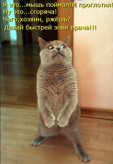 [30076c1e9f5396a6bd1e72c37ab_prev%255B4%255D.jpg]