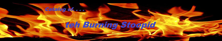 Catalog of Teh Burning Stoopid