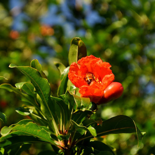 Hd-139648-ascw139648