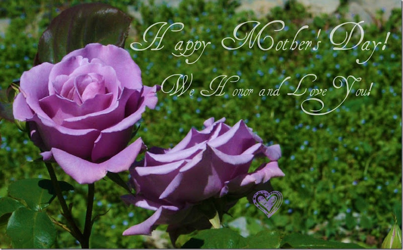 Happy Mothers Day! ROSES, Purple-Lavender