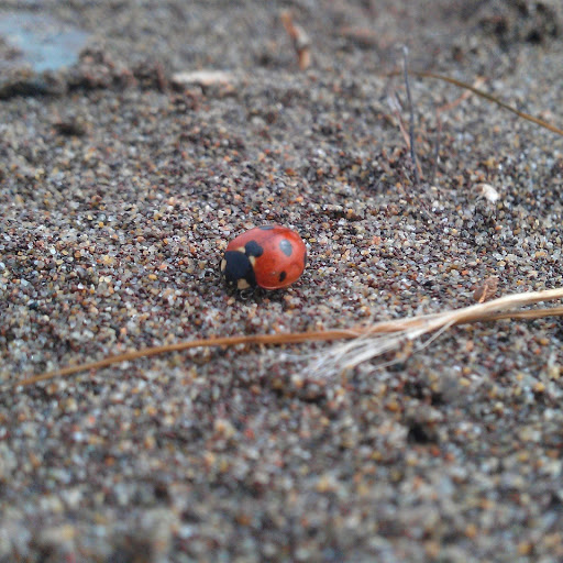 Hd-145228-ascw145228