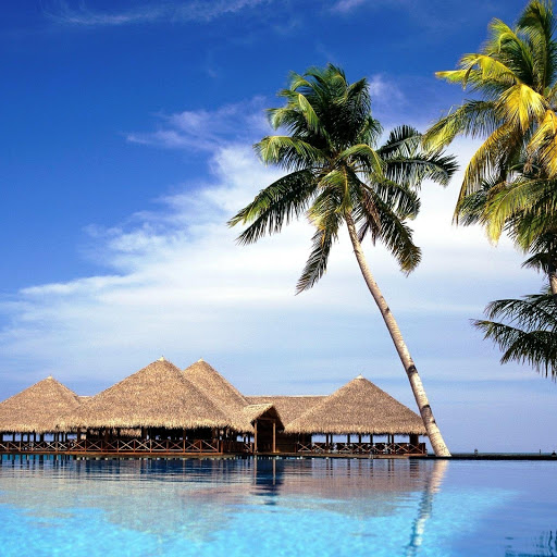 Hd-152013-ascw152013