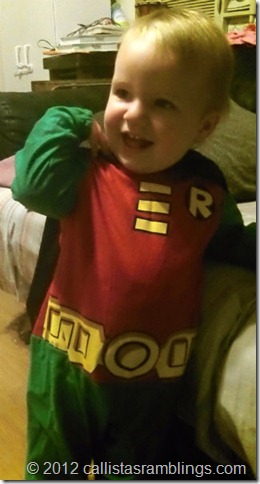 REVIEW: Dressing My Son as Robin from Wholesale Costume Club (Batman ...