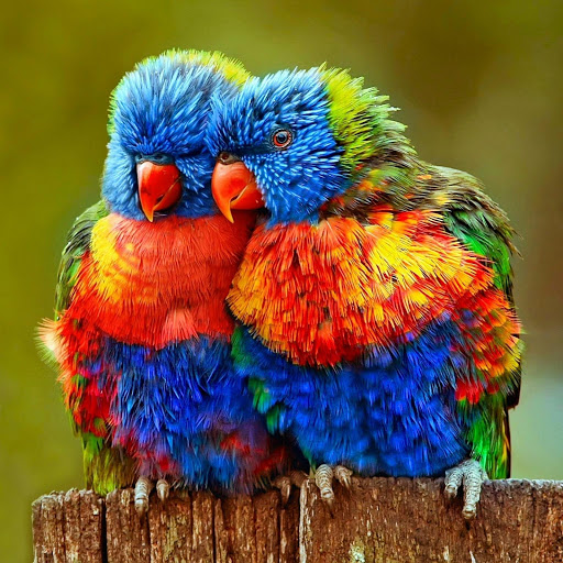 Hd-177769-ascw177769