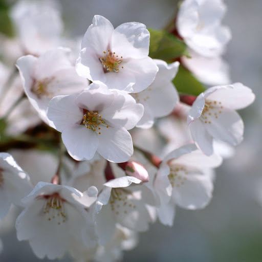 Hd-151267-ascw151267