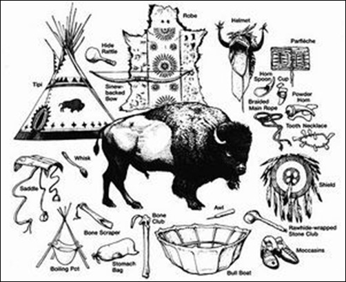 Le massacre des bisons en Amérique-13