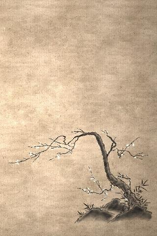 Ascw24684