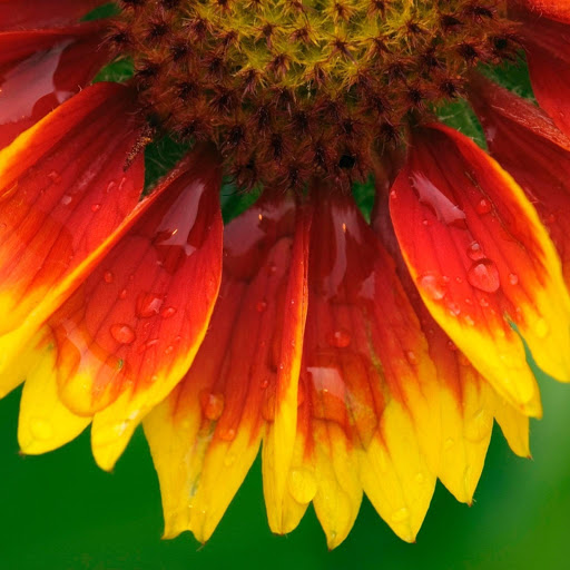 Hd-169624-ascw169624