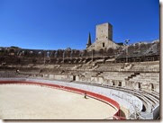 IMG_0955 IMG_0955