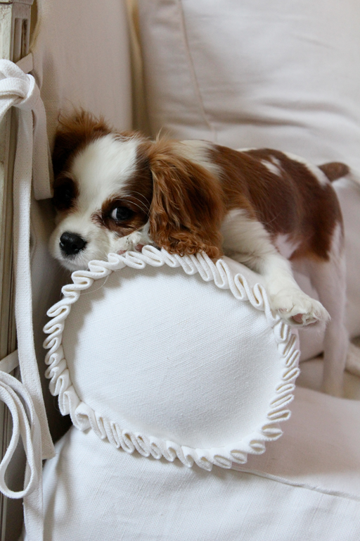 [image%255B5%255D.png]