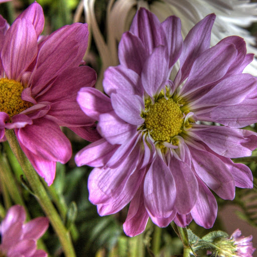 Hd-163645-ascw163645