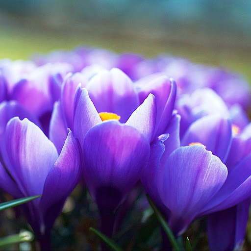 Hd-142672-ascw142672