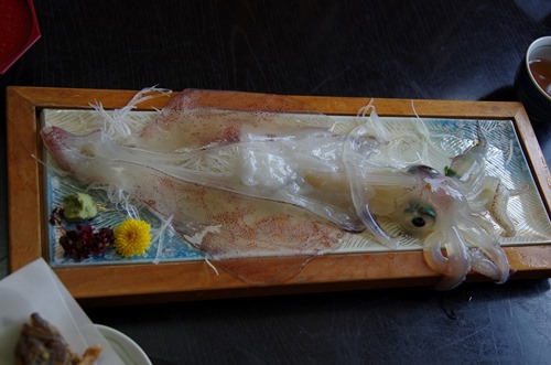 [130520253.jpg]