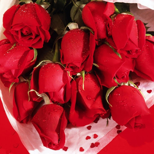 Hd-177307-ascw177307