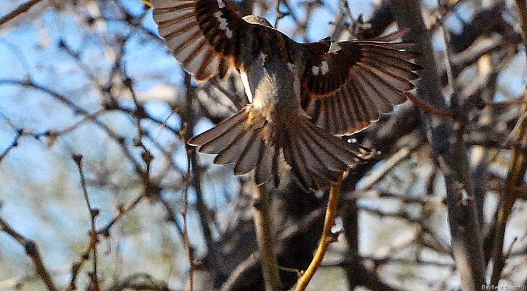 [DSC_2761%255B9%255D.jpg]