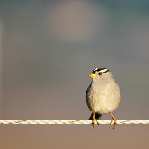 Hd-157191-ascw157191