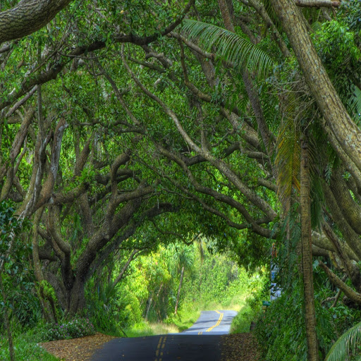 Hd-133849-ascw133849