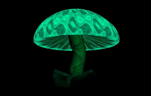 【免費生活App】Magic Mushroom Wallpapers HD-APP點子