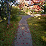 依水園,紅葉(PK3_0660,F9,16mm,K-3)2014yaotomi_.jpg