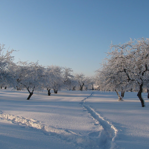 Hd-131851-ascw131851